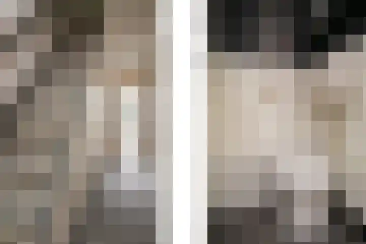 Leeuwstraat 18 Halsteren thumbnail 17