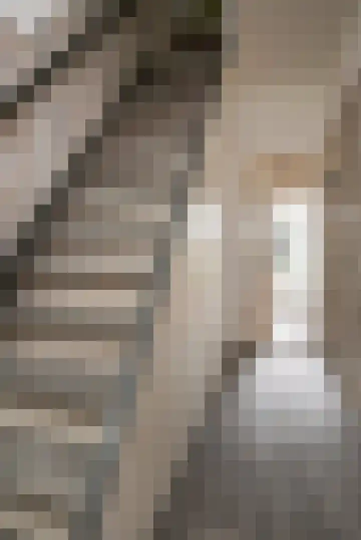 Leeuwstraat 18 Halsteren thumbnail 18