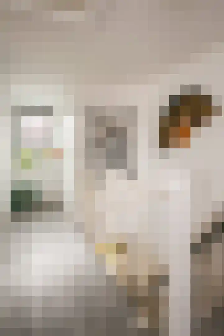 Leeuwstraat 18 Halsteren thumbnail 19