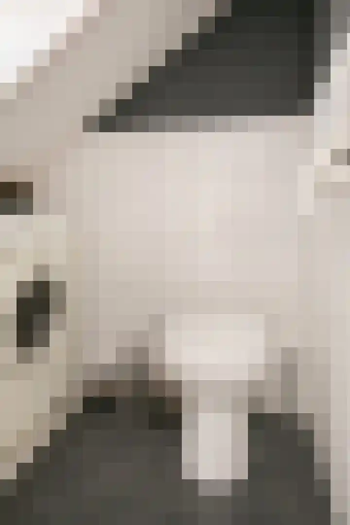 Leeuwstraat 18 Halsteren thumbnail 20