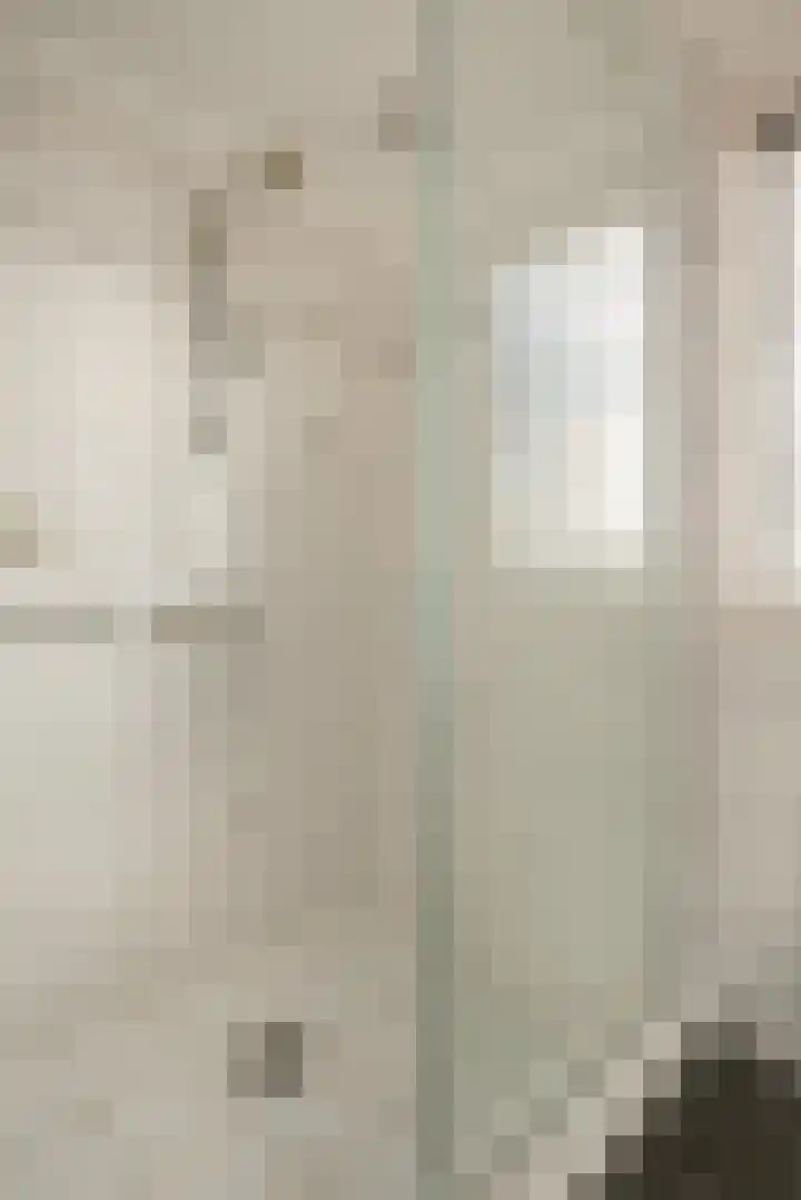 Leeuwstraat 18 Halsteren thumbnail 21