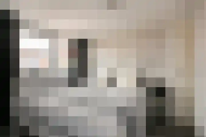 Leeuwstraat 18 Halsteren thumbnail 23