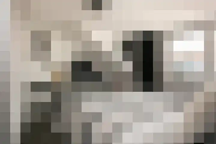 Leeuwstraat 18 Halsteren thumbnail 24