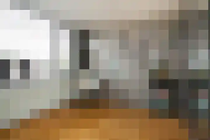 Leeuwstraat 18 Halsteren thumbnail 25