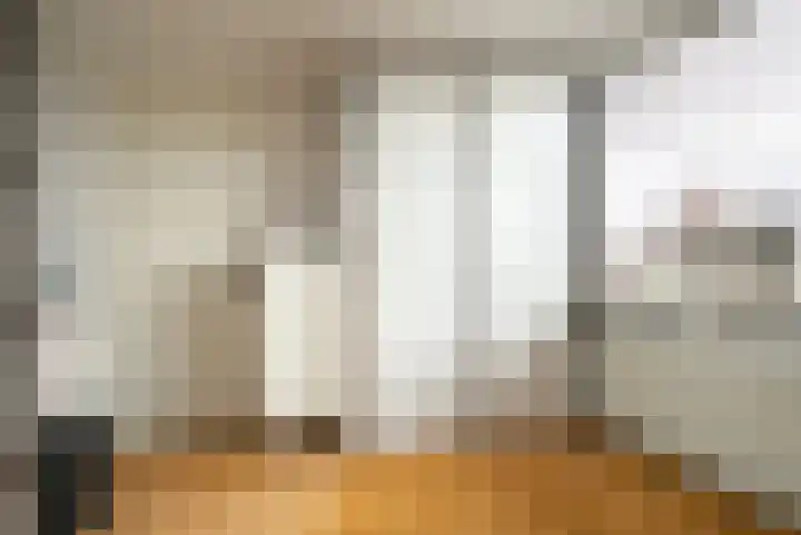 Leeuwstraat 18 Halsteren thumbnail 26