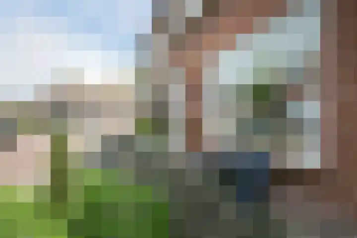 Leeuwstraat 18 Halsteren thumbnail 27