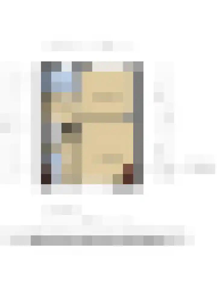 Leeuwstraat 18 Halsteren thumbnail 31
