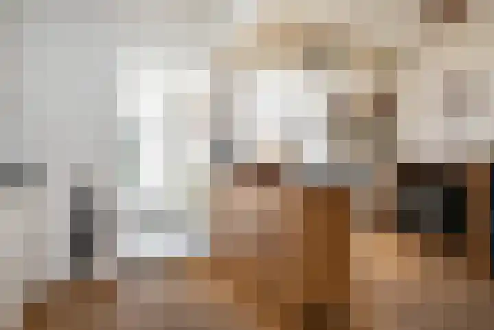 Leeuwstraat 18 Halsteren thumbnail 8