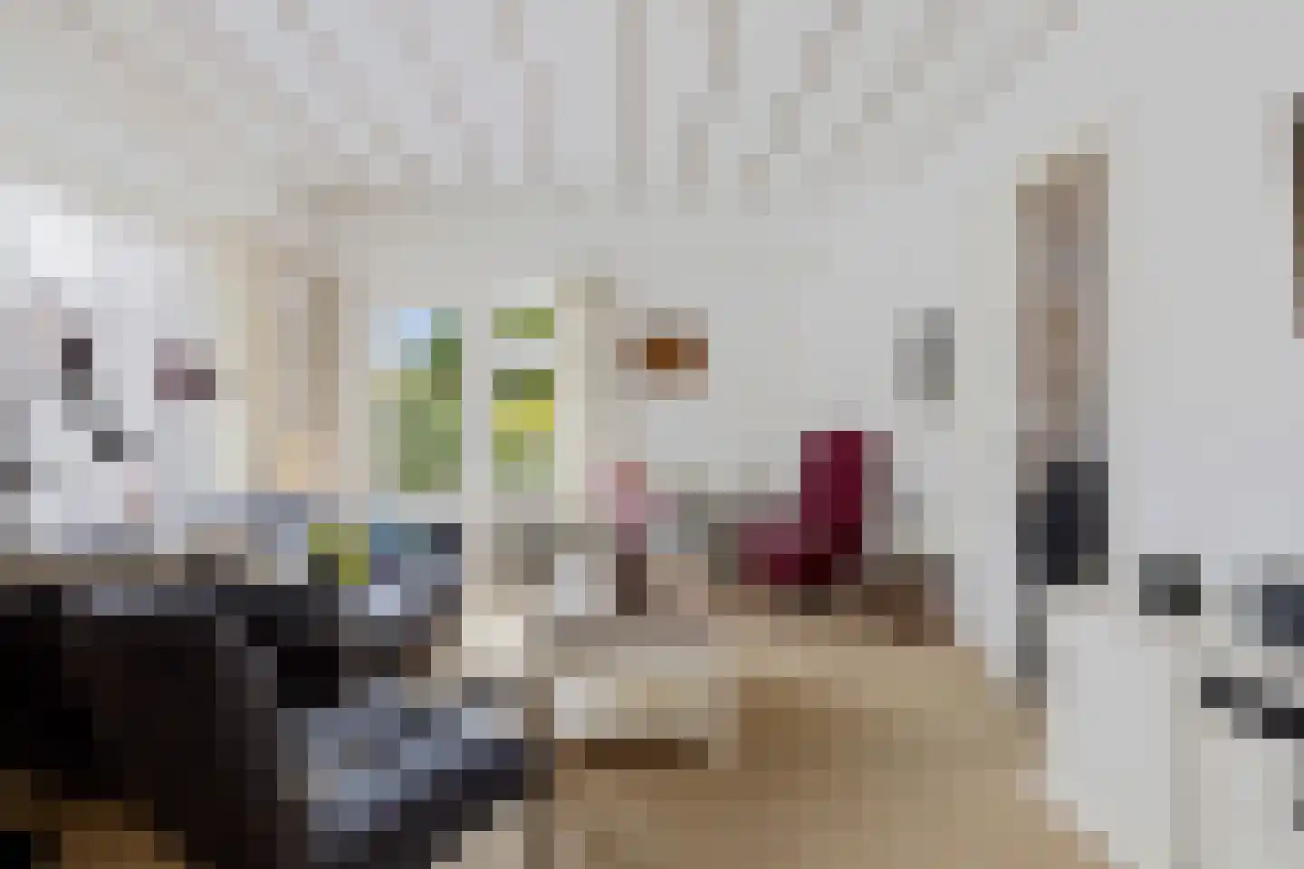 Leeuwstraat 20 Uithuizen thumbnail 17