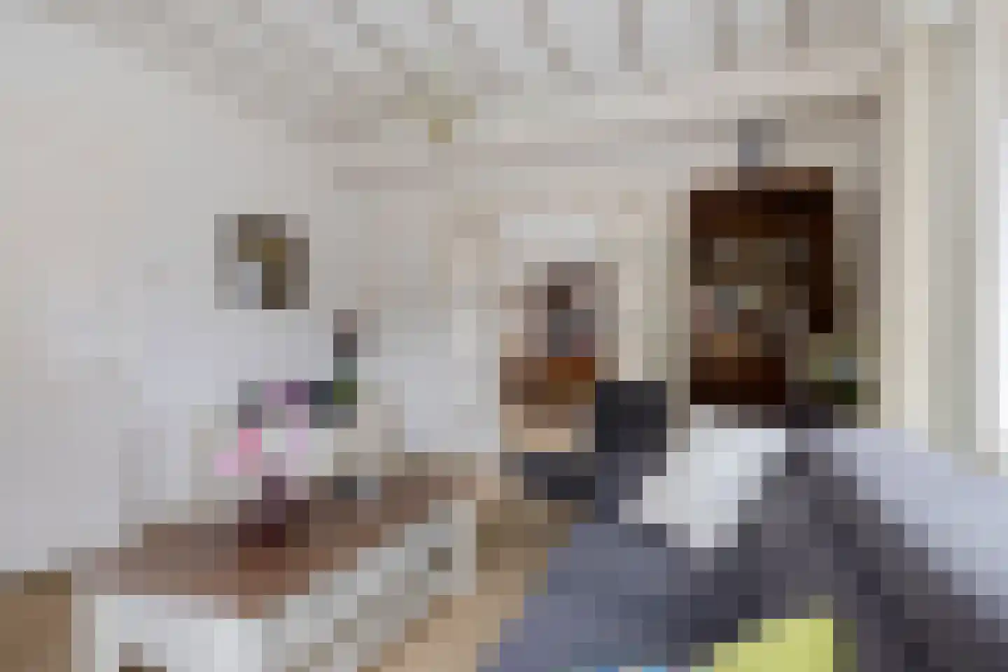 Leeuwstraat 20 Uithuizen thumbnail 18