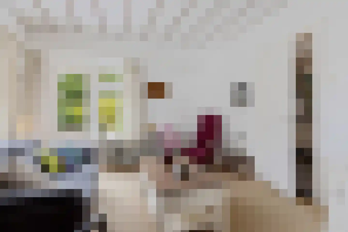 Leeuwstraat 20 Uithuizen thumbnail 19