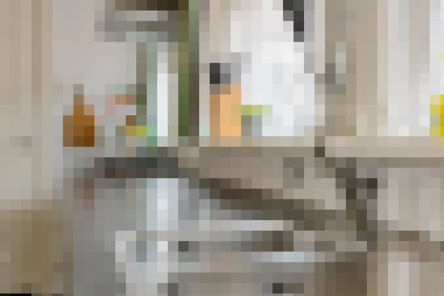 Leeuwstraat 20 Uithuizen thumbnail 22