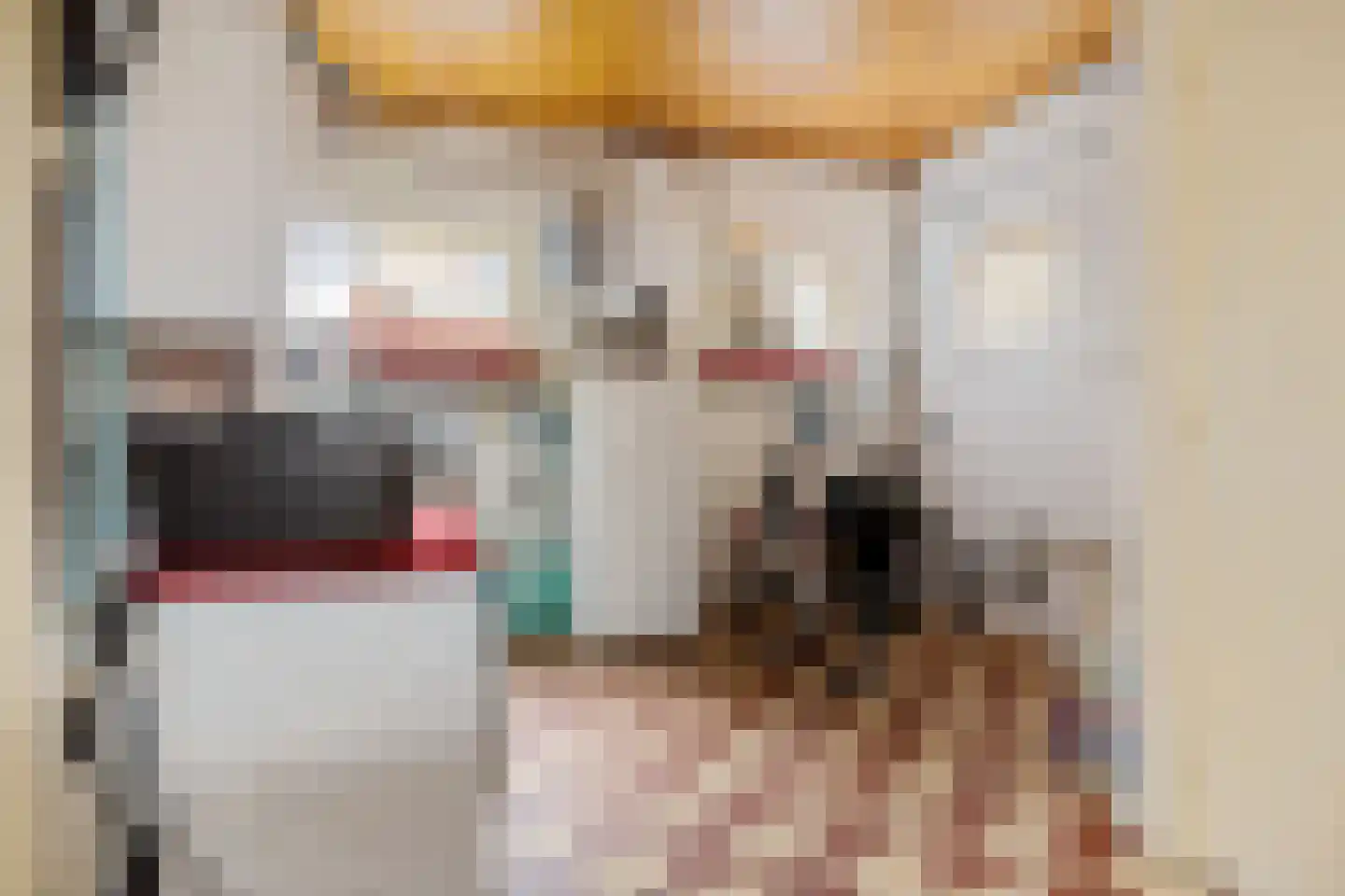 Leeuwstraat 20 Uithuizen thumbnail 23