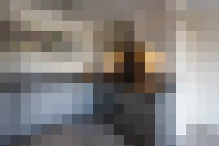 Leeuwstraat 34 Venray thumbnail 18