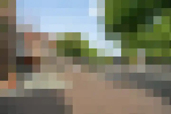 Leeuwstraat 36 Venray thumbnail 25