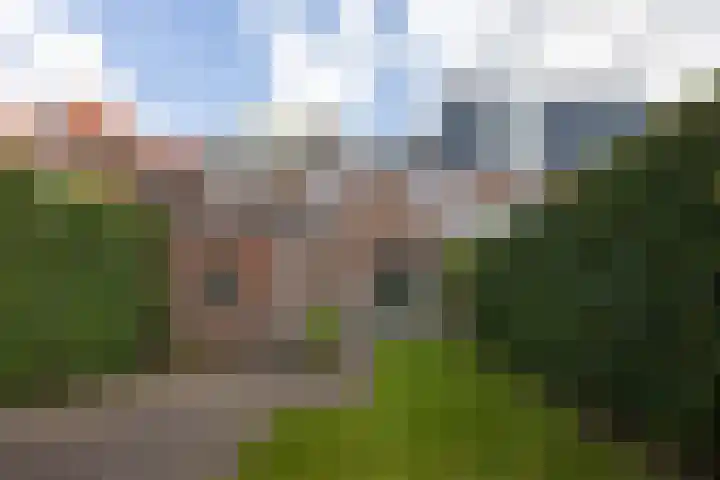 Leeuwstraat 38 Nijmegen thumbnail 41