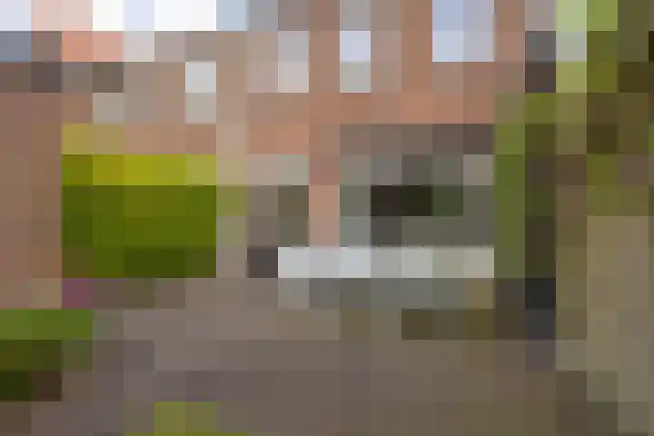 Leeuwstraat 38 Nijmegen thumbnail 42