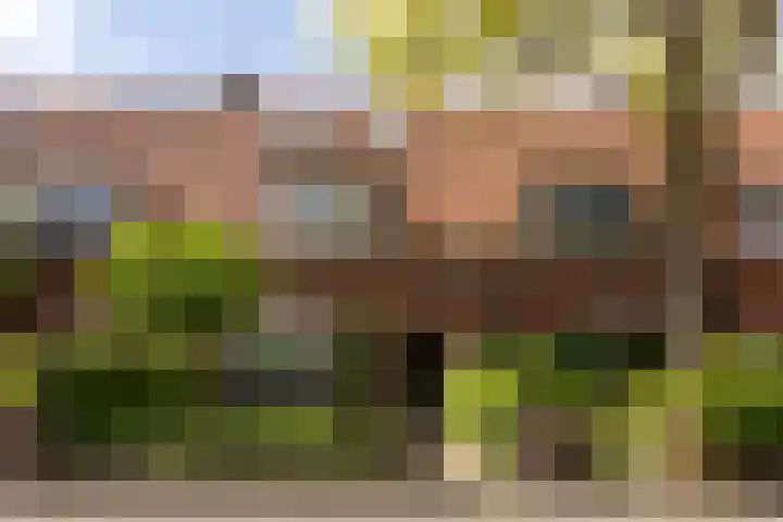 Leeuwstraat 38 Nijmegen thumbnail 44