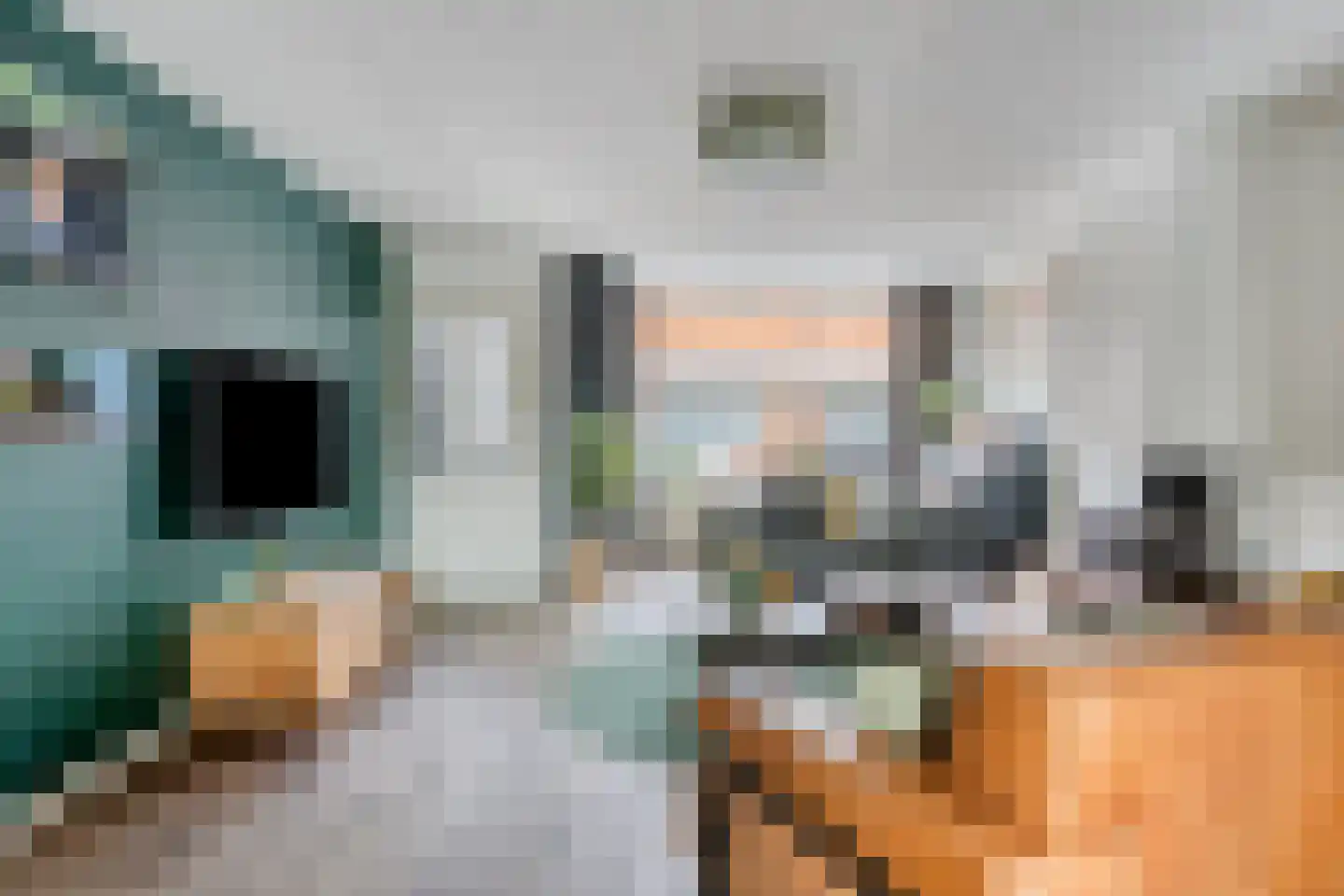 Leeuwstraat 4 Halsteren thumbnail 10