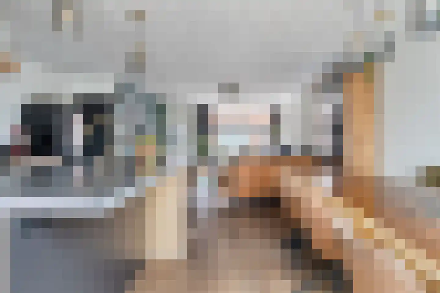 Leeuwstraat 4 Halsteren thumbnail 12