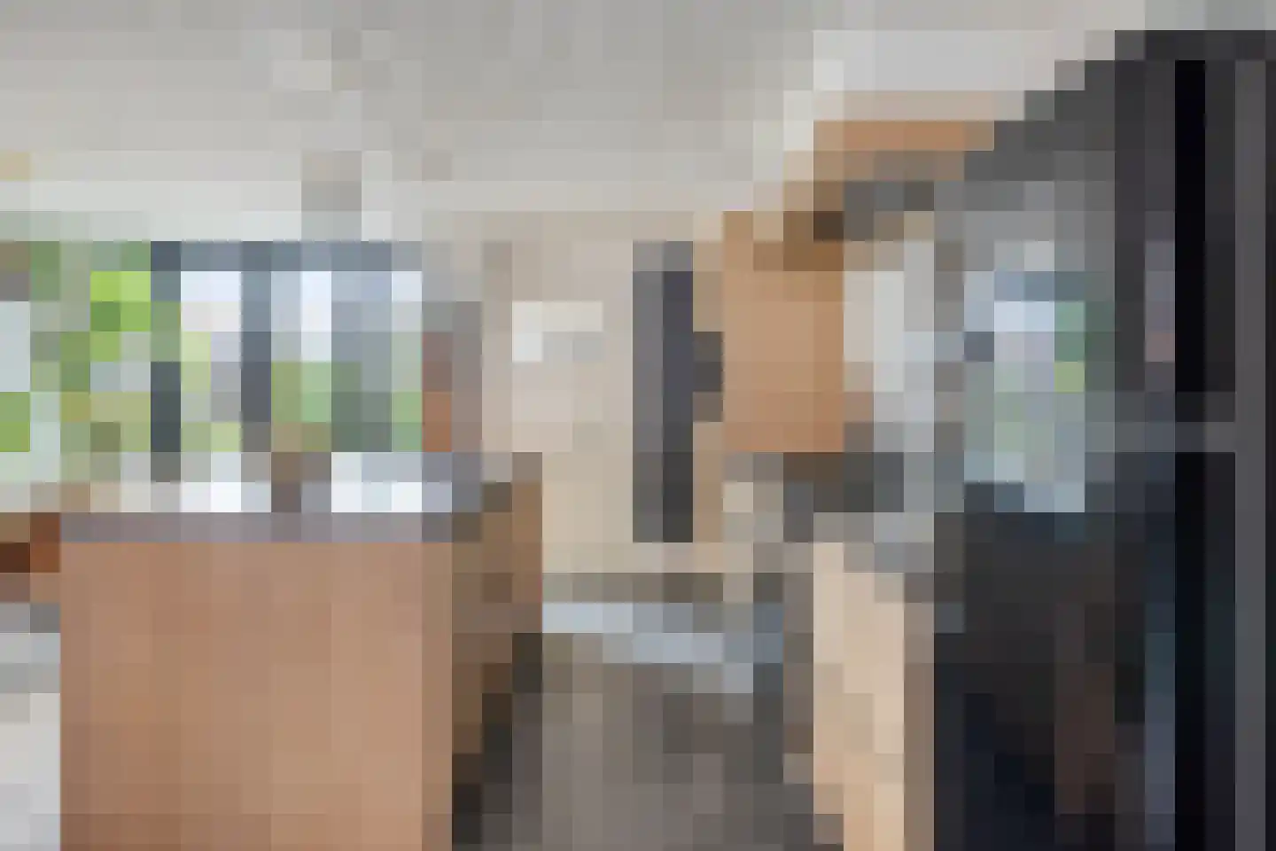 Leeuwstraat 4 Halsteren thumbnail 14