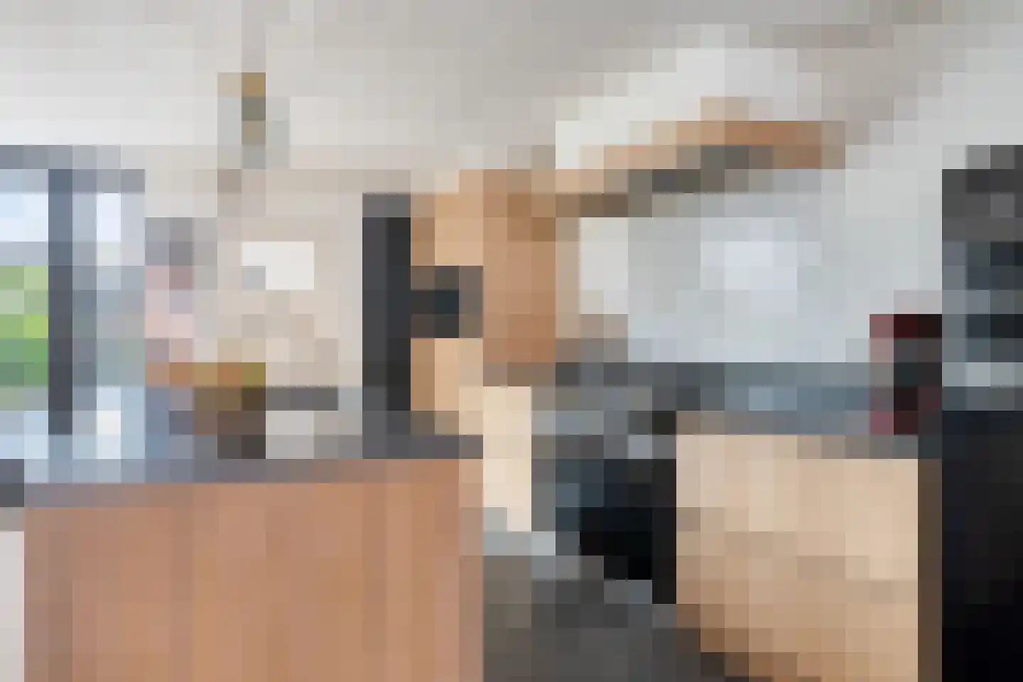 Leeuwstraat 4 Halsteren thumbnail 19