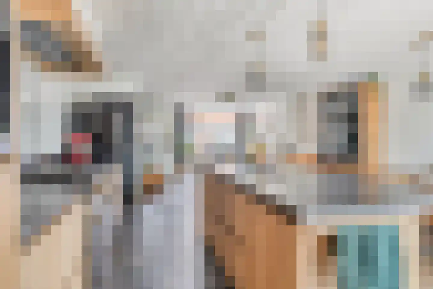 Leeuwstraat 4 Halsteren thumbnail 20