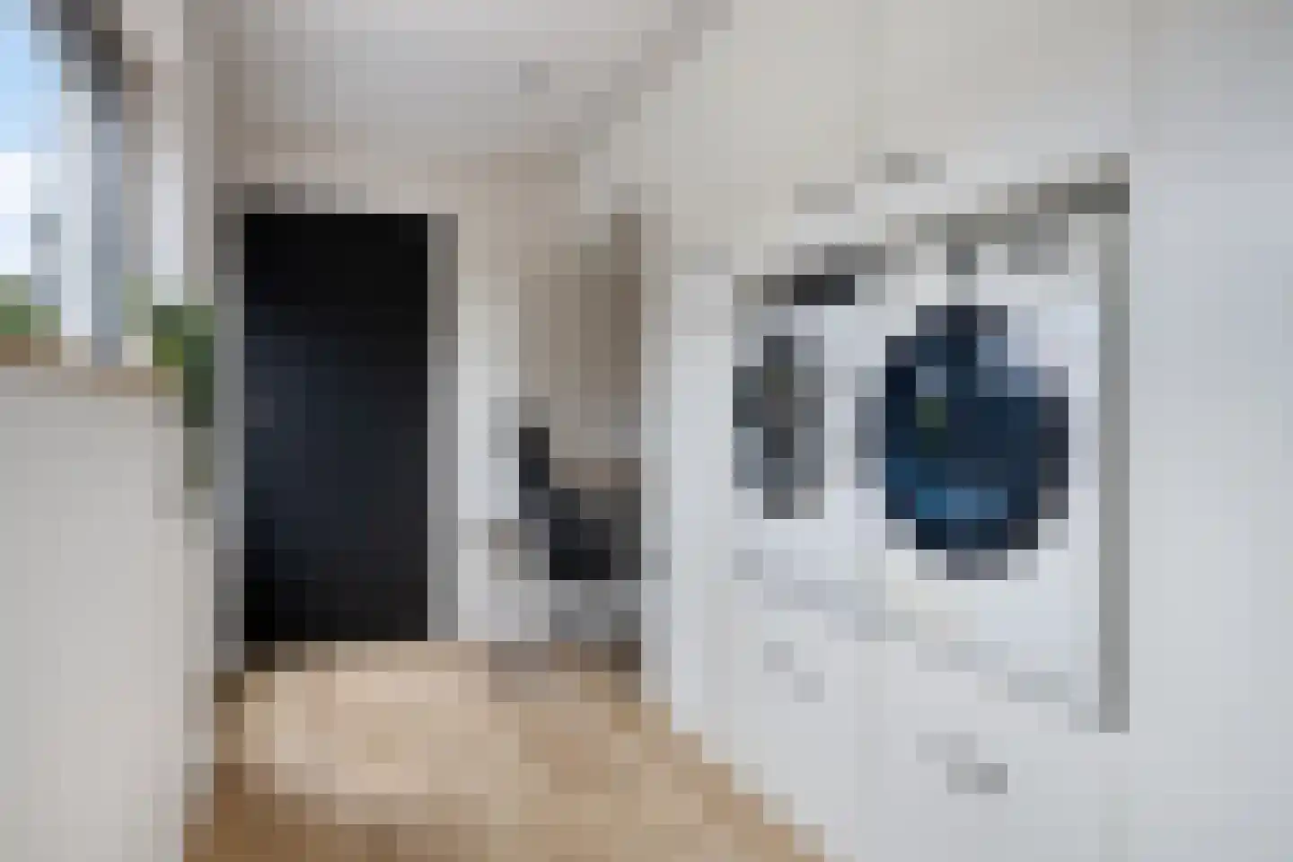 Leeuwstraat 4 Halsteren thumbnail 24