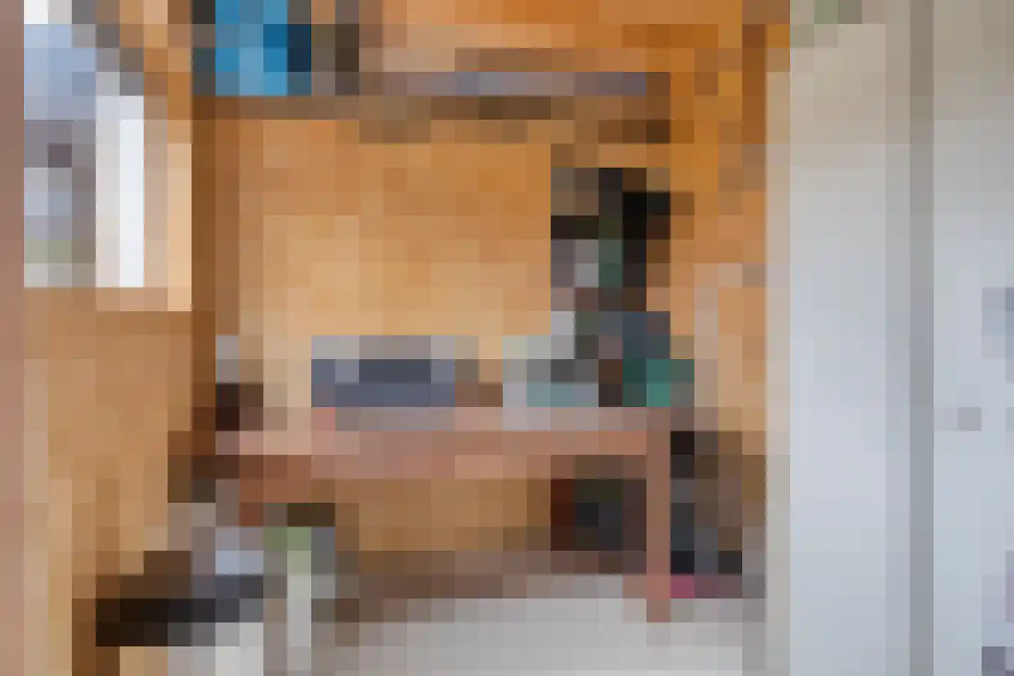 Leeuwstraat 4 Halsteren thumbnail 25