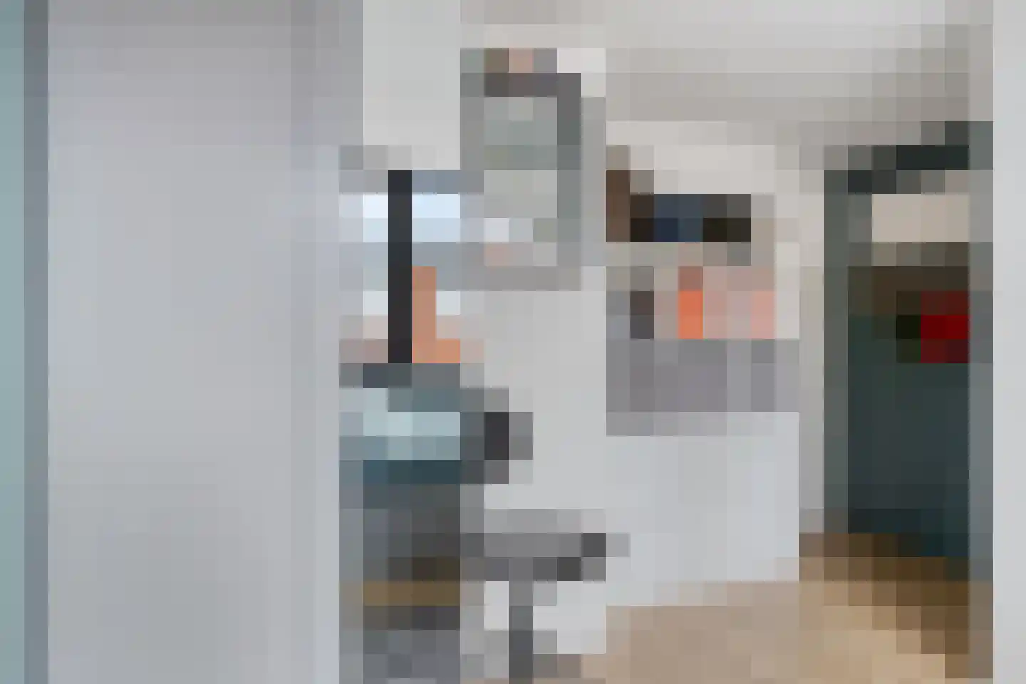 Leeuwstraat 4 Halsteren thumbnail 31