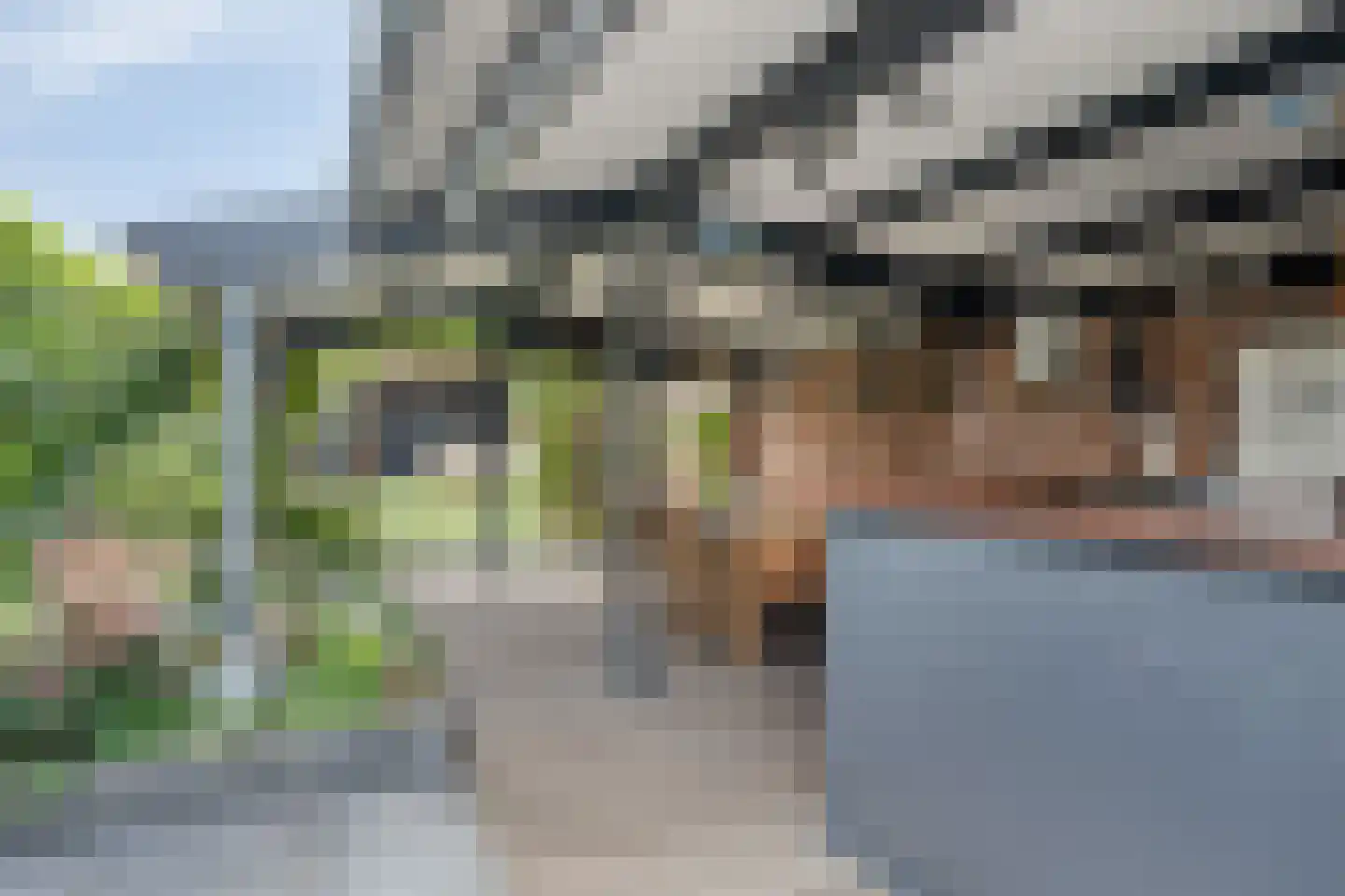 Leeuwstraat 4 Halsteren thumbnail 35