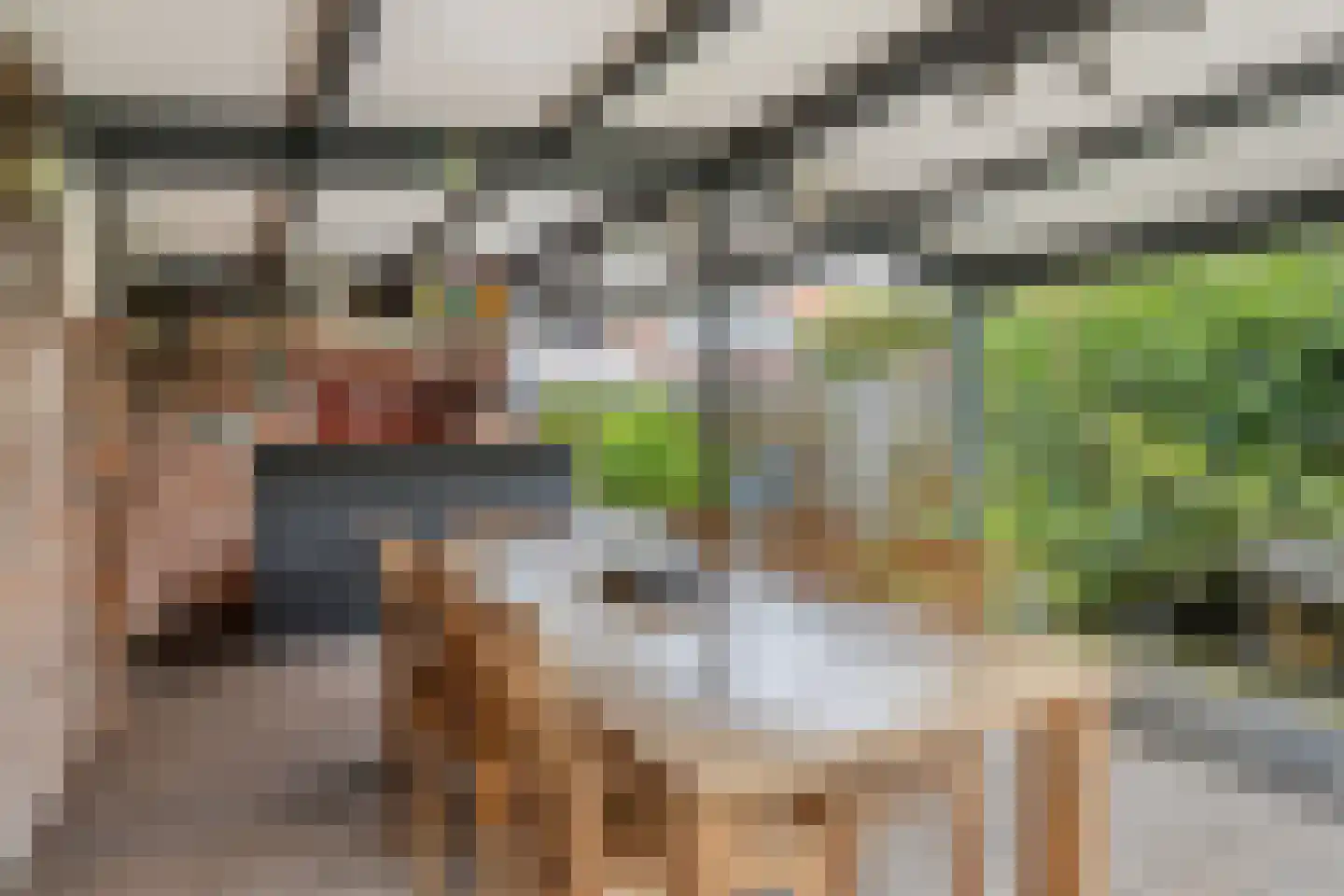 Leeuwstraat 4 Halsteren thumbnail 39