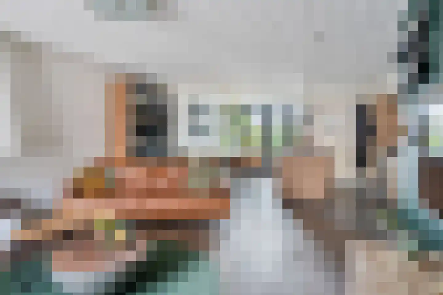 Leeuwstraat 4 Halsteren thumbnail 4