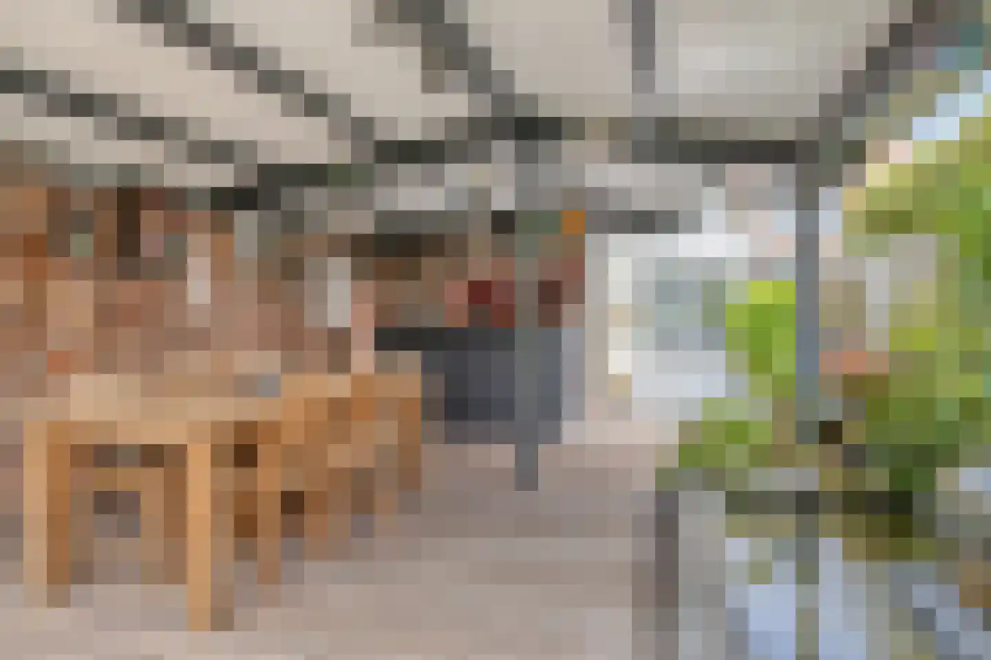 Leeuwstraat 4 Halsteren thumbnail 40