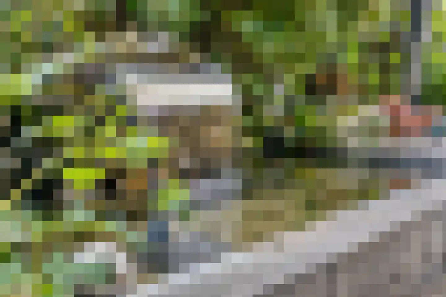 Leeuwstraat 4 Halsteren thumbnail 42