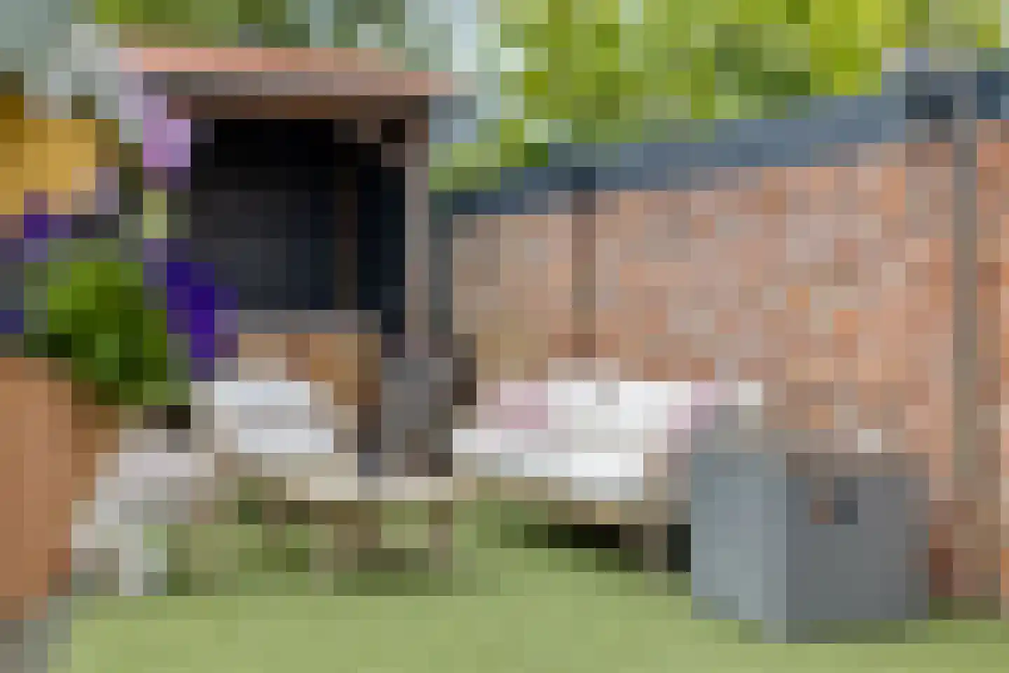 Leeuwstraat 4 Halsteren thumbnail 44