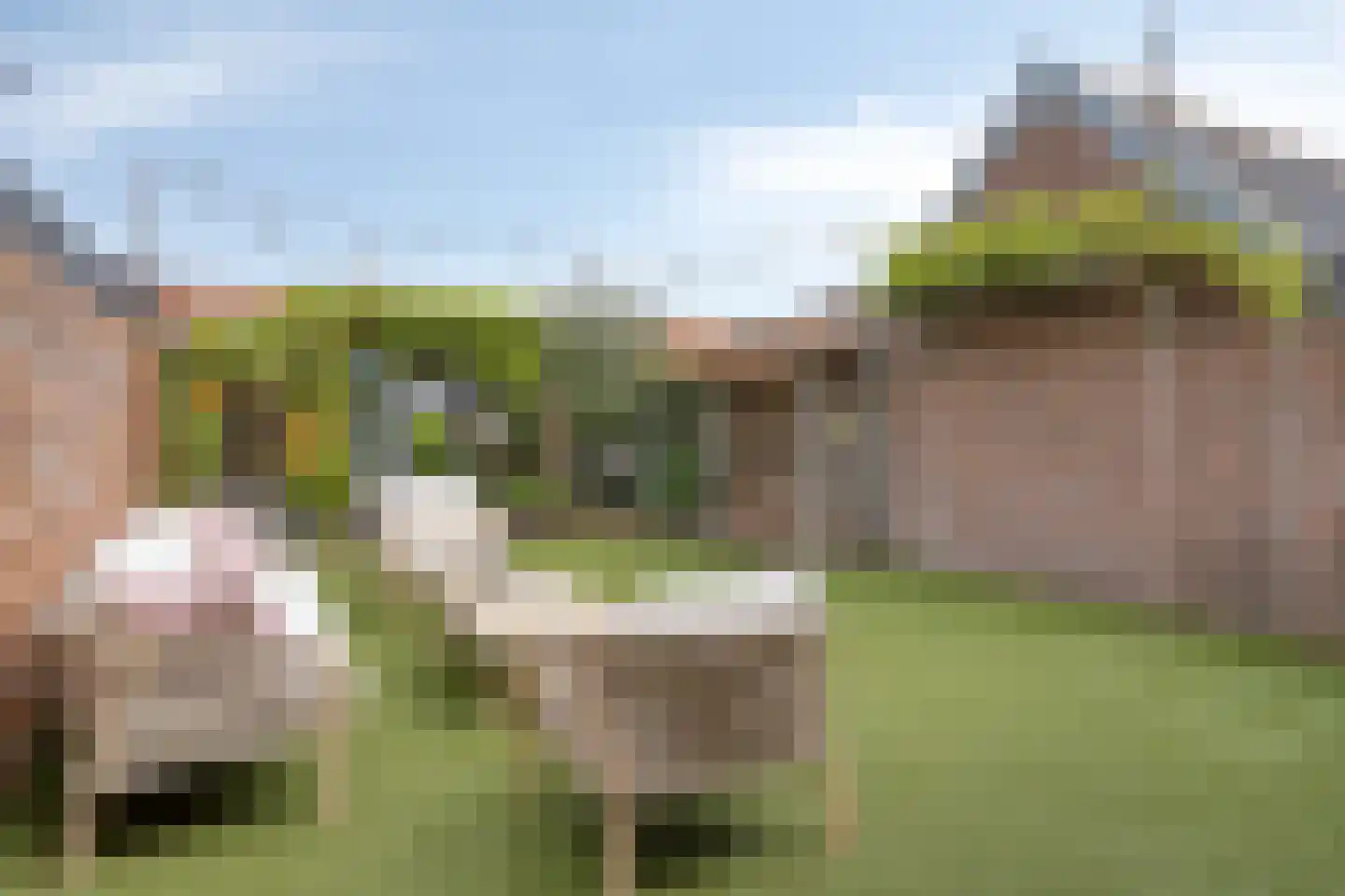 Leeuwstraat 4 Halsteren thumbnail 46