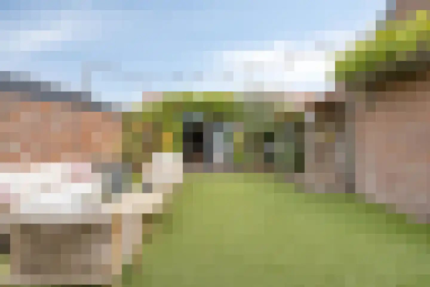 Leeuwstraat 4 Halsteren thumbnail 47