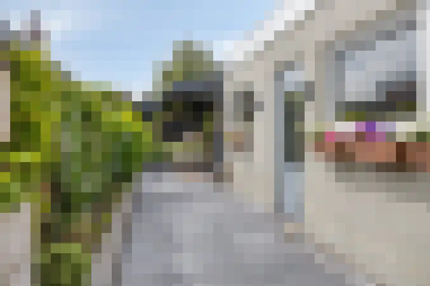 Leeuwstraat 4 Halsteren thumbnail 48