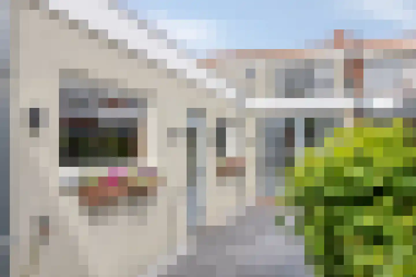 Leeuwstraat 4 Halsteren thumbnail 49
