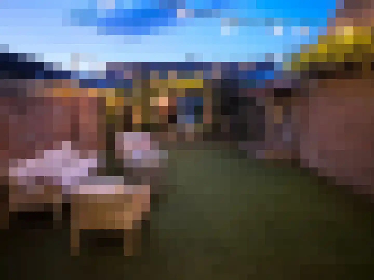 Leeuwstraat 4 Halsteren thumbnail 52