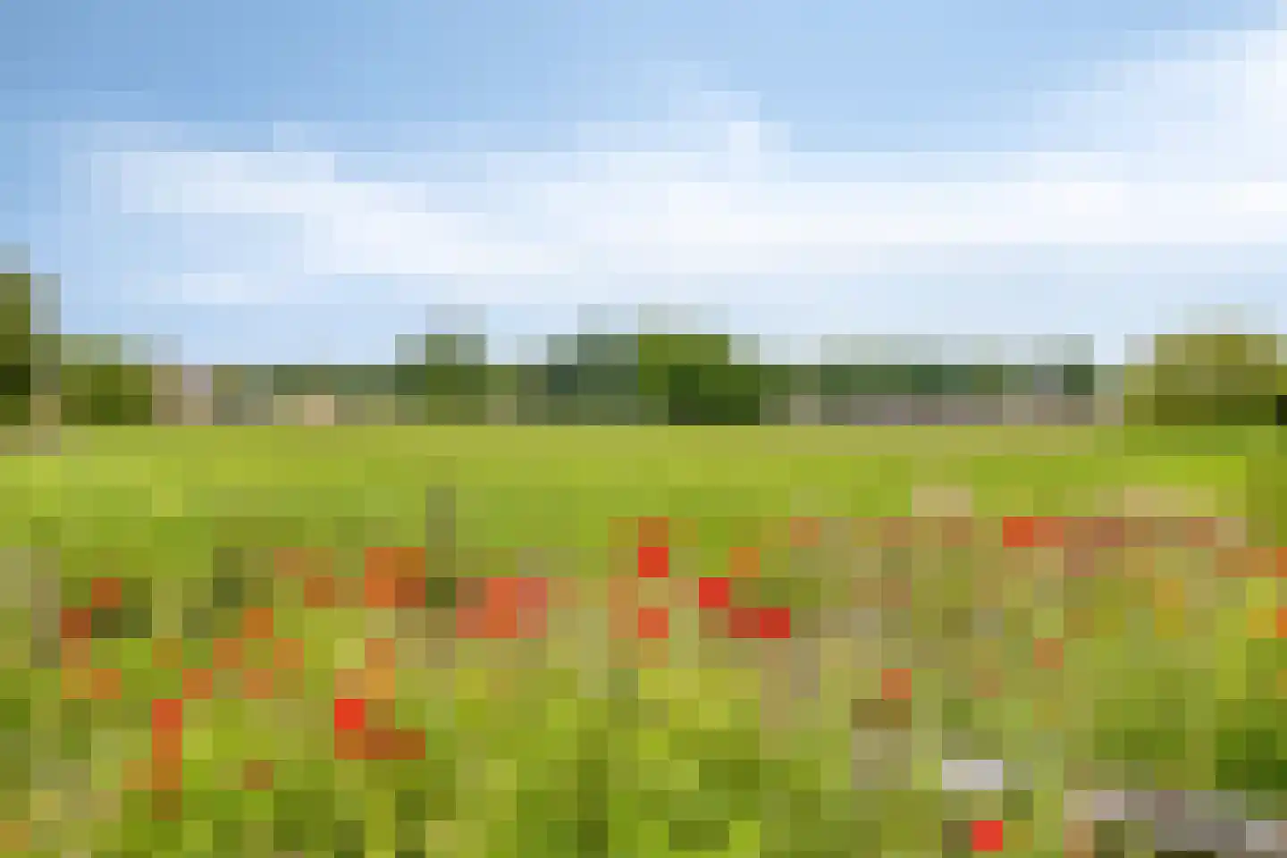 Leeuwstraat 4 Halsteren thumbnail 60