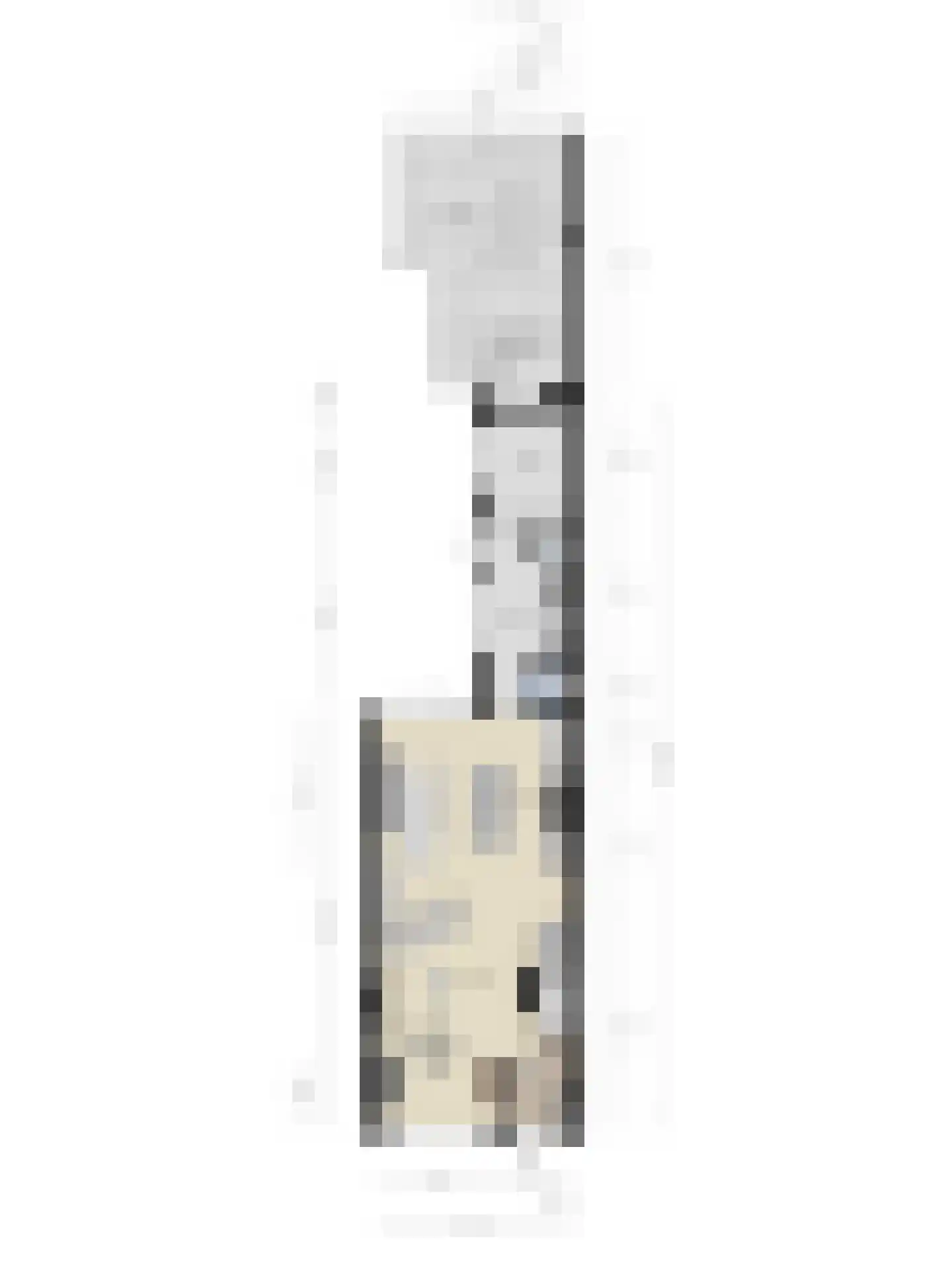 Leeuwstraat 4 Halsteren thumbnail 61