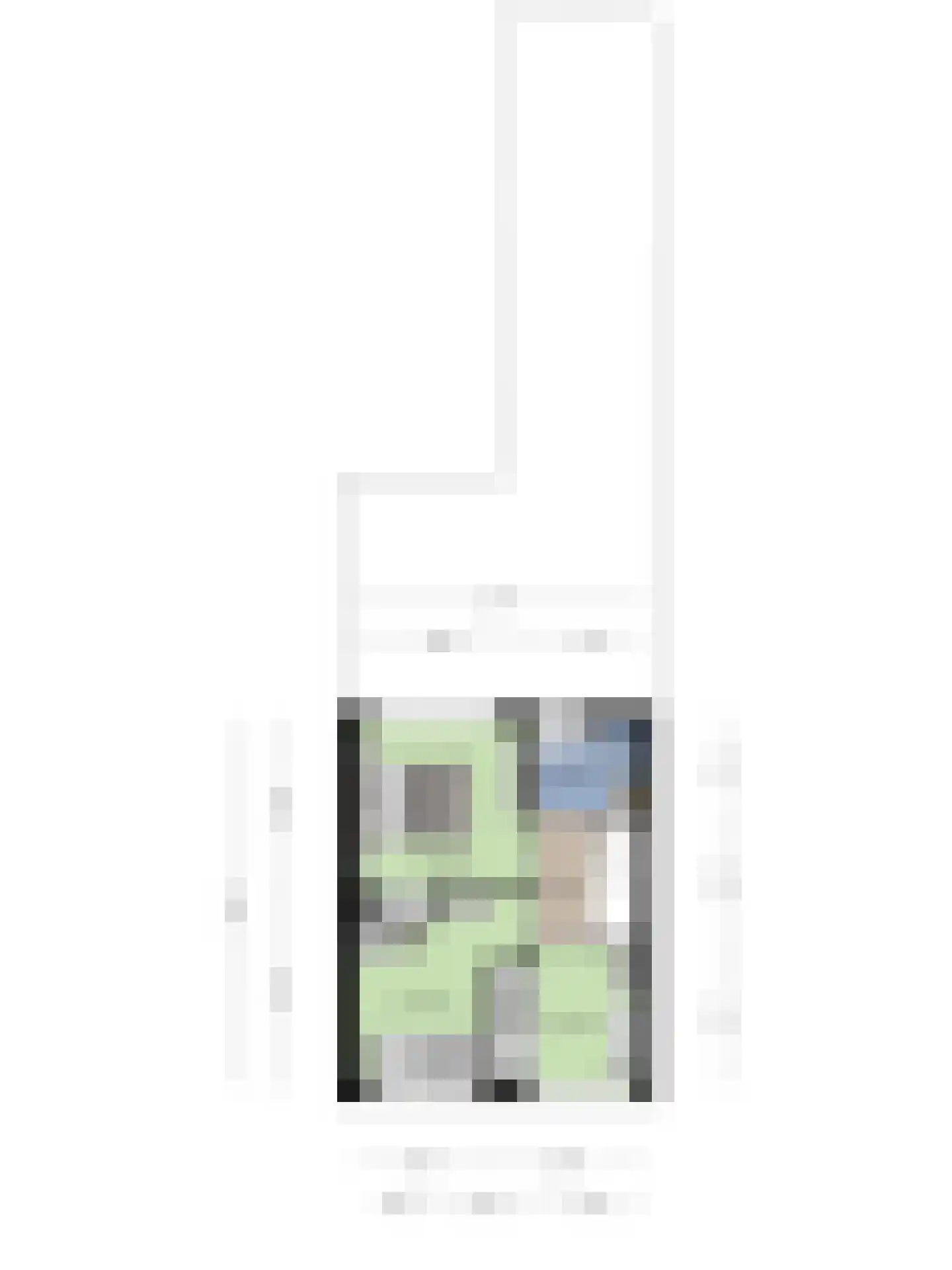 Leeuwstraat 4 Halsteren thumbnail 62