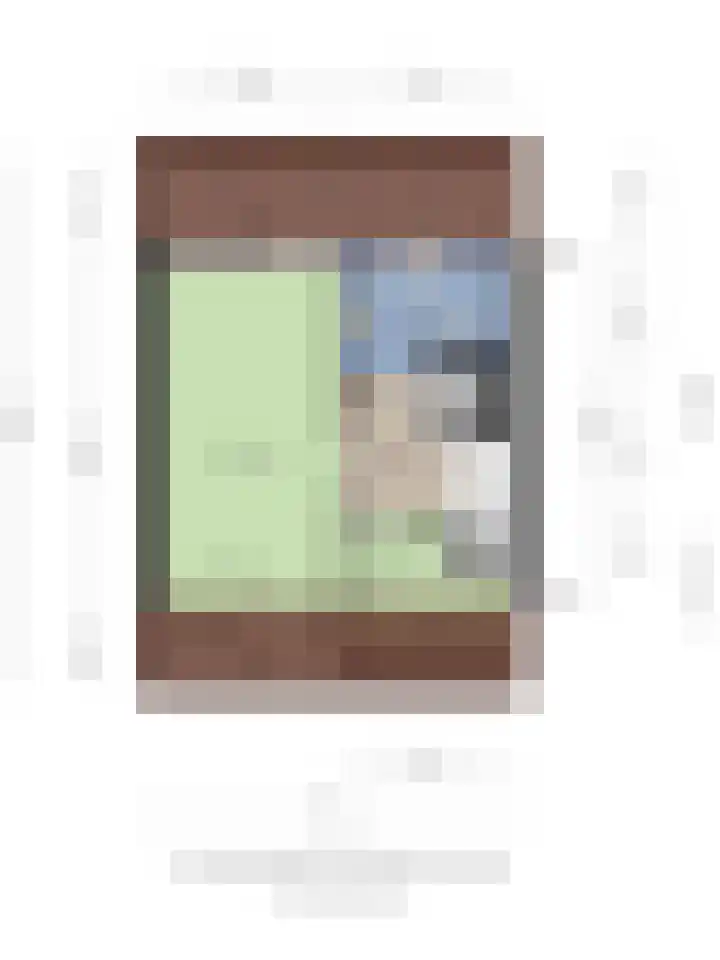 Leeuwstraat 46 Venray thumbnail 31