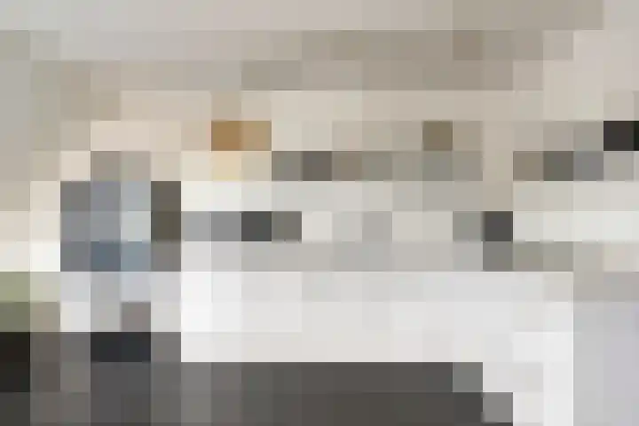 Leeuwstraat 46 Venray thumbnail 8