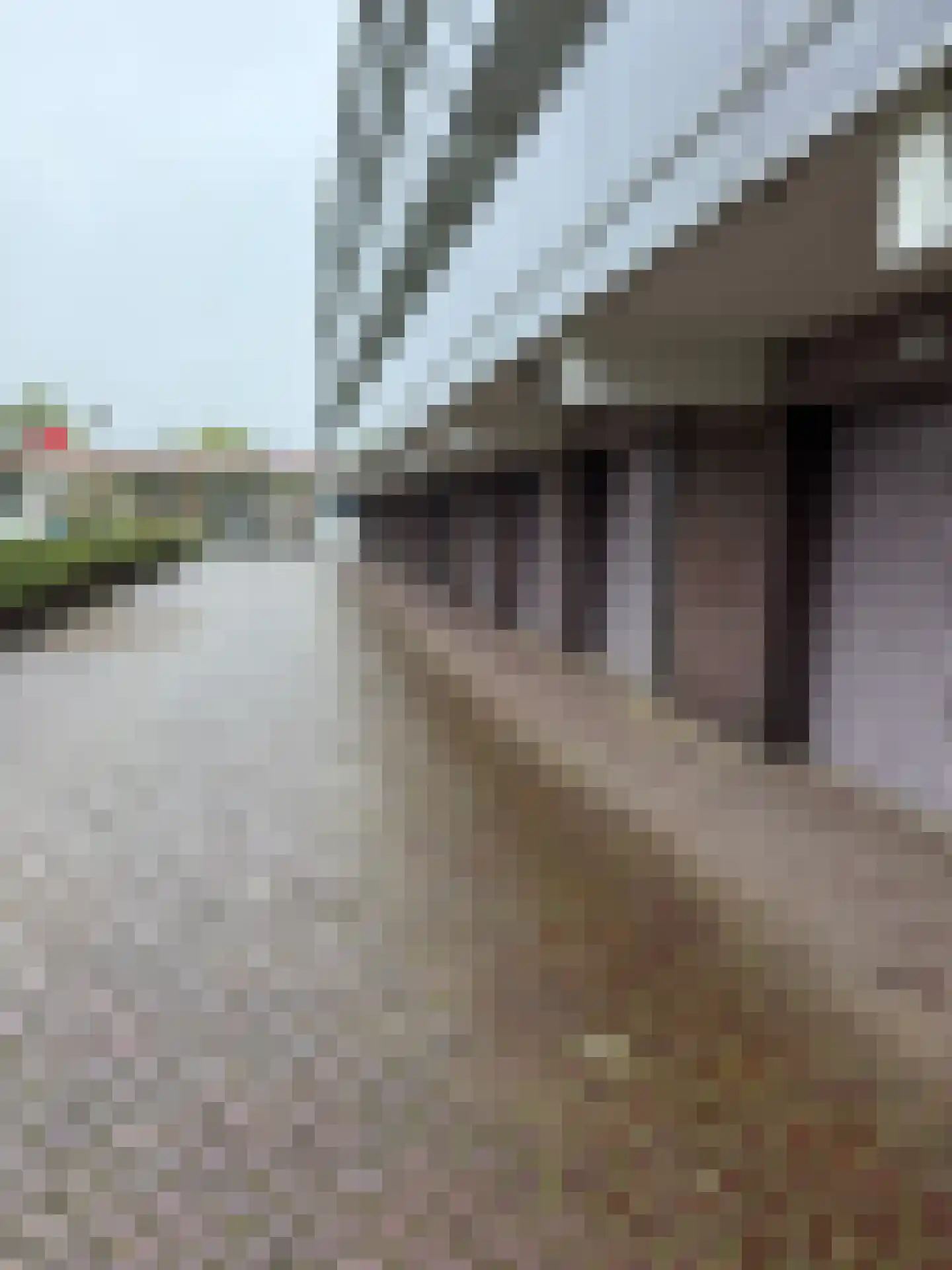 Leeuwstraat 637 Dordrecht thumbnail 5