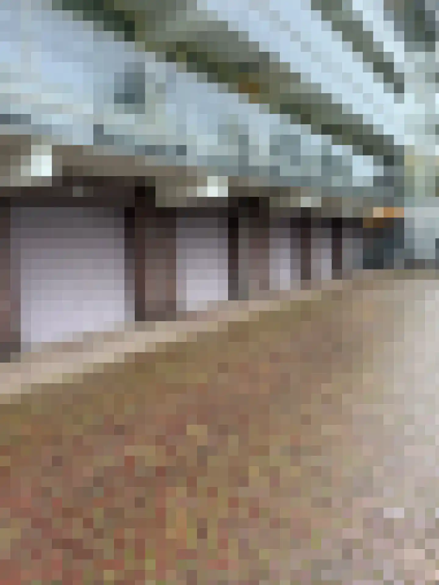 Leeuwstraat 637 Dordrecht thumbnail 6