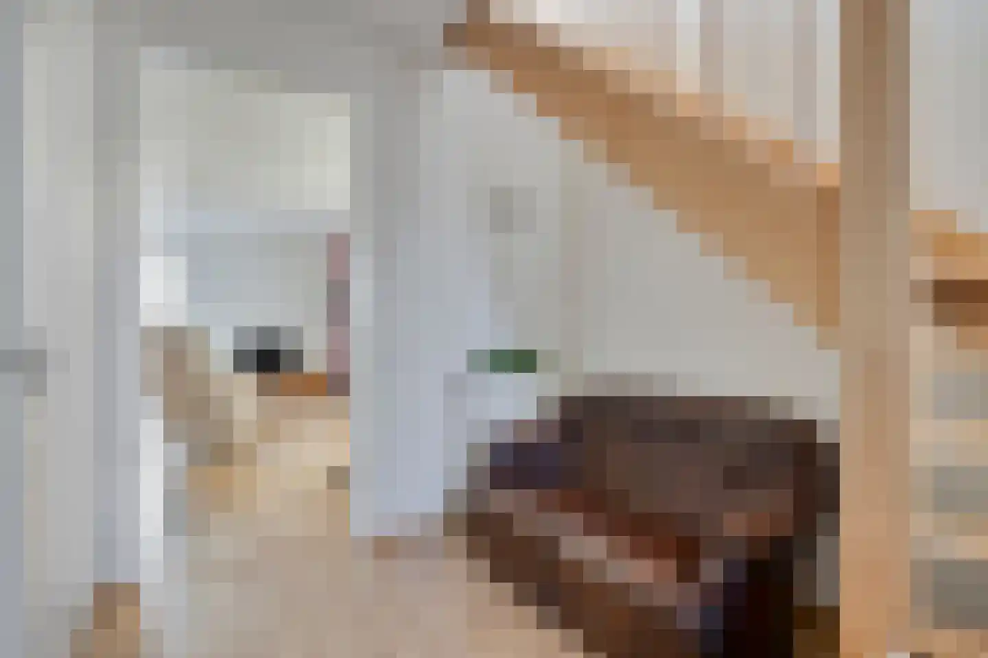Leeuwstraat 7 D Venray thumbnail 11