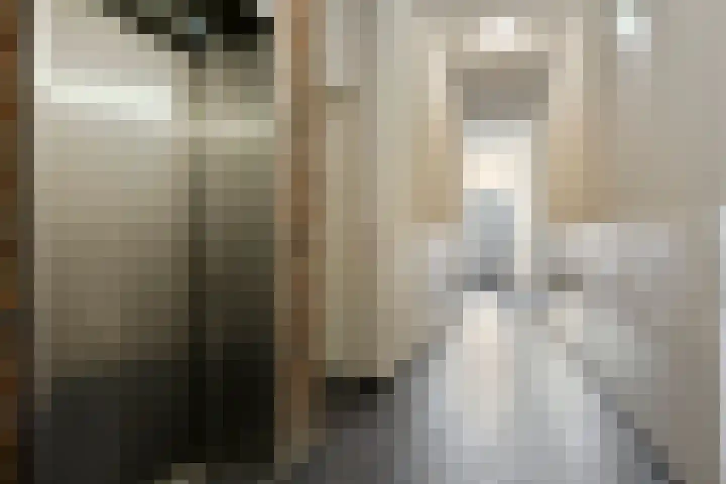 Leeuwstraat 7 D Venray thumbnail 7